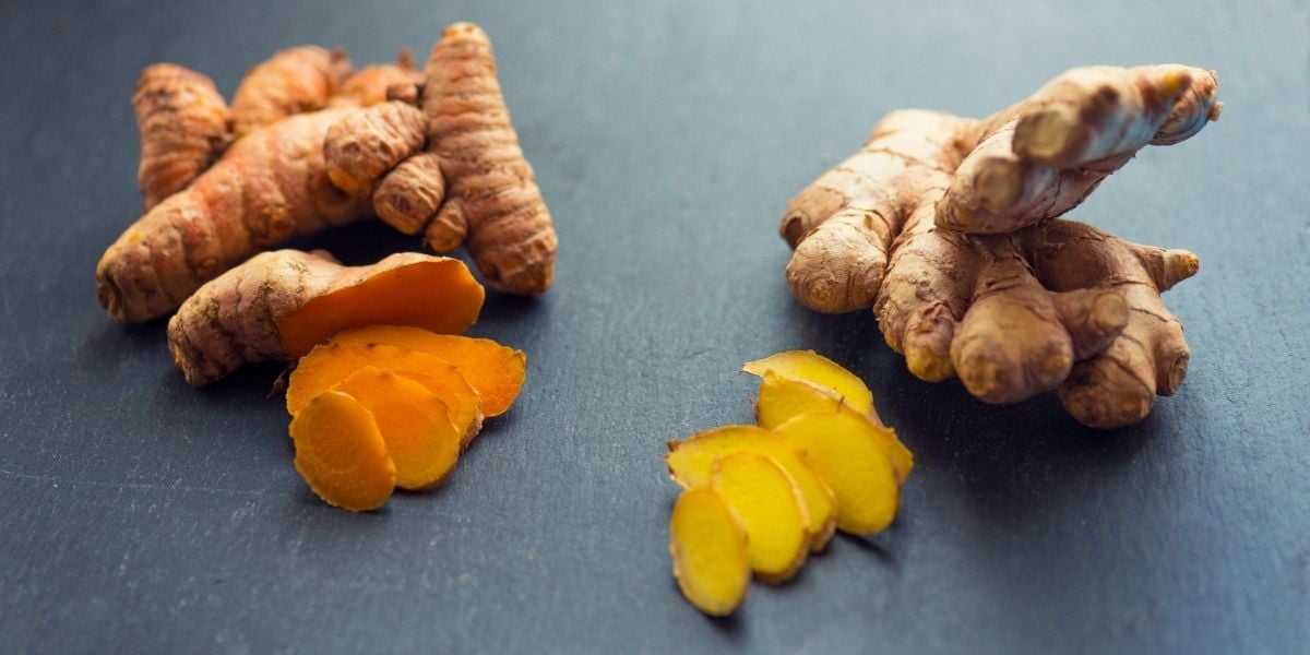 turmeric vs ginger rhizomes